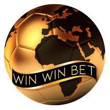 WinWin How to Leverage Mutual Benefits for Success WinWin How to Leverage Mutual Benefits for Success